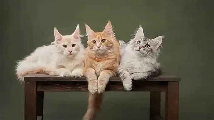 post-the-best-forex-pairs-for-beginners-a-comprehensive-guide-image